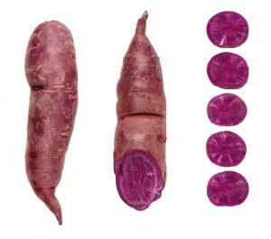 Stokes-Purple Sweet Potato