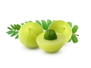 health benefits of amla