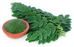 moringa leaves